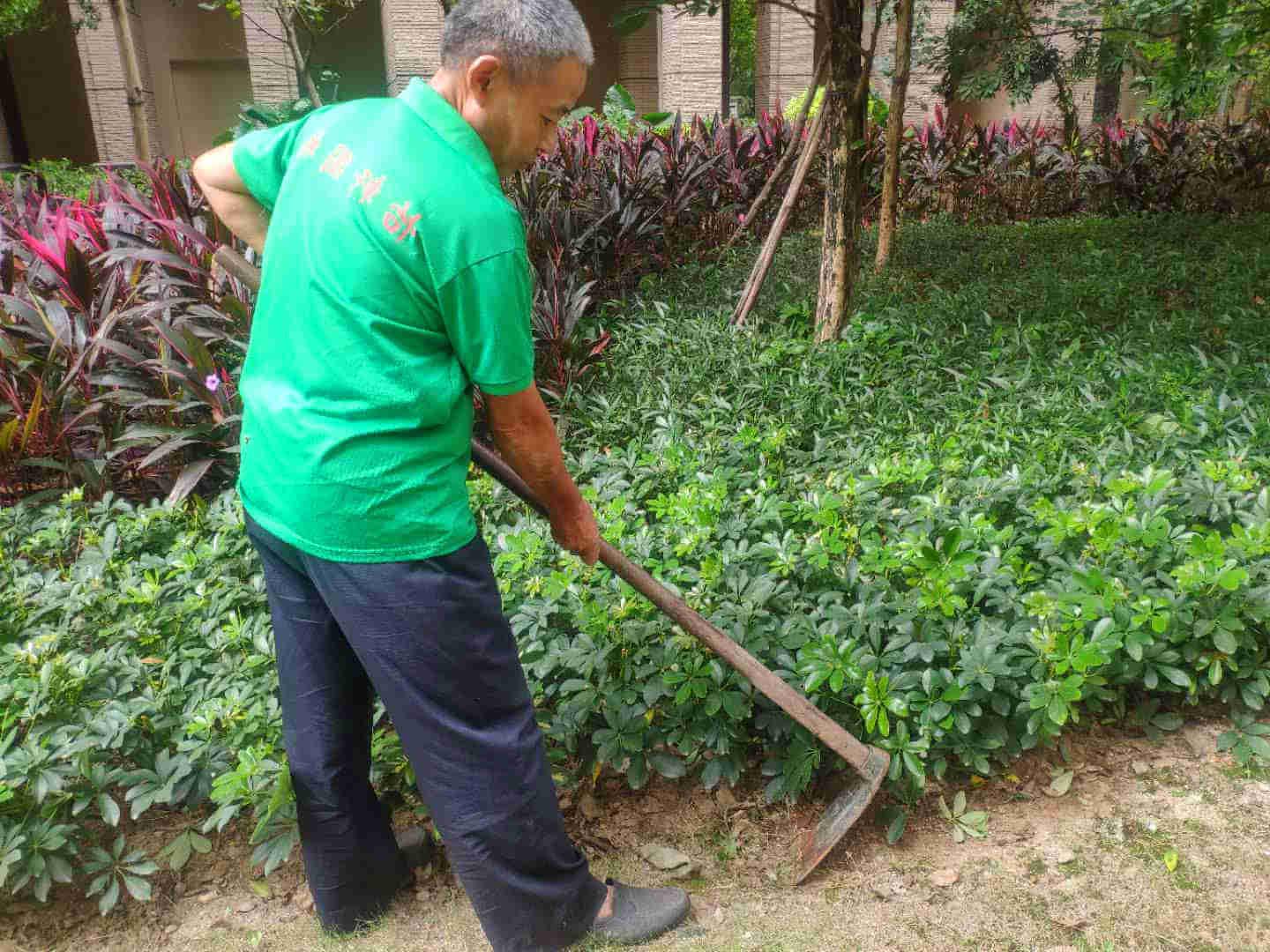 绿化工人正在松土